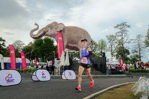 BIB: 
                            <button type="button" onclick="openModal(26528420)" class="btn btn-primary btn-sm float-right btn-popup" data-toggle="modal" data-target=".modal-high-quality">
                        <i class="fas fa-shopping-cart"></i> Add to Cart
                    </button>
                                            <button type="button" onclick="isThisMe(26528420, true)" class="btn btn-success btn-sm float-right btn-popup btn-isme hidden" data-toggle="tooltip" data-placement="bottom" title="นี่คือรูปของคุณใช่ไหม คลิกที่นี่เพื่อเอาเข้าอัลบั้ม">
                        <i class="fas fa-plus"></i> Add to album
                    </button>
                    <button type="button" onclick="isThisMe(26528420, false)" class="btn btn-warning btn-sm float-right btn-popup btn-isnotme hidden">
                        <i class="fas fa-ban"></i> Remove from album
                    </button>